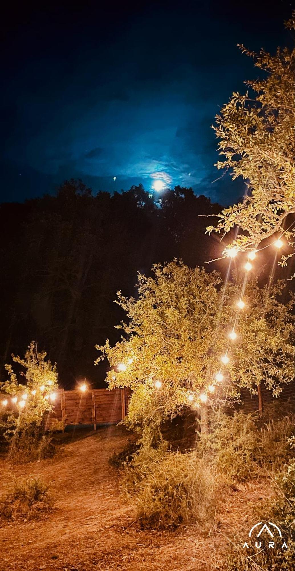 Accettura Aura - Glamping Experience酒店 外观 照片