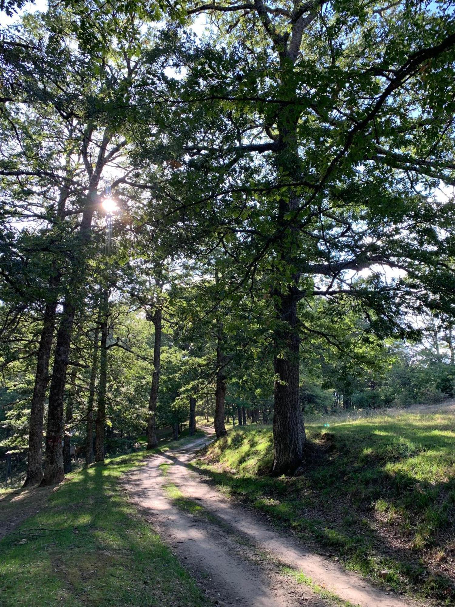 Accettura Aura - Glamping Experience酒店 外观 照片